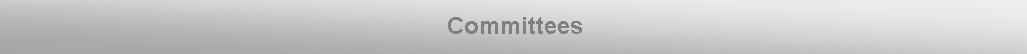 Casella di testo: Committees